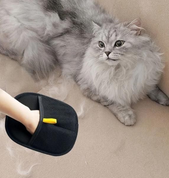 Pet Hair Collector – India's #1 Pet Hair Solution! | ✨ FLAT 50% OFF ✨